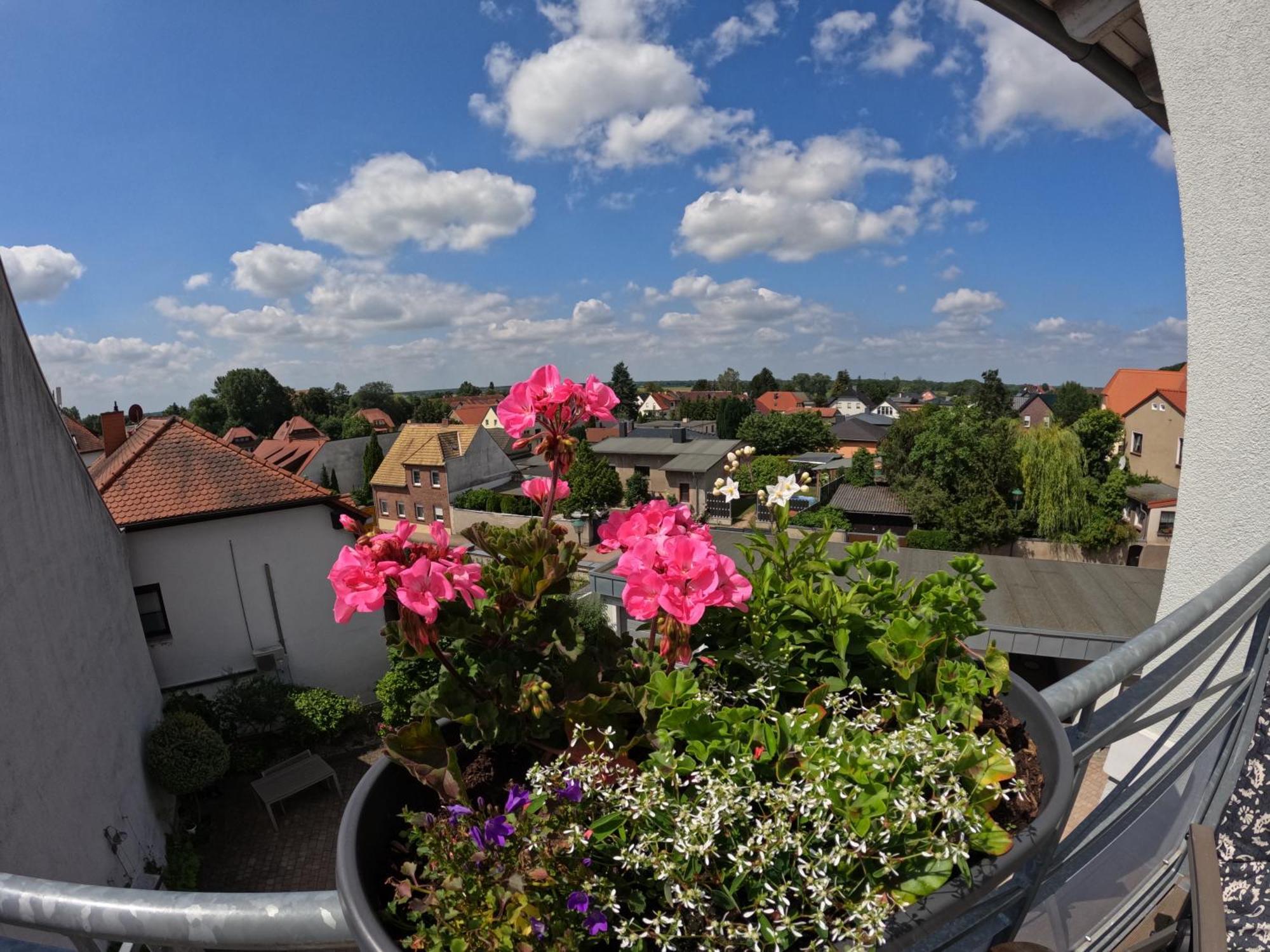 Ferienwohnung Ausblick Bad Düben Eksteriør bilde